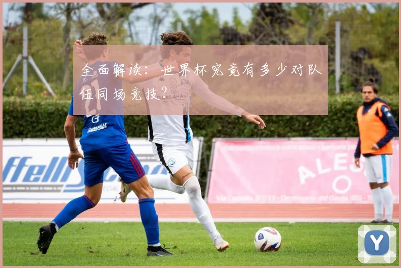 全面解读：世界杯究竟有多少对队伍同场竞技？