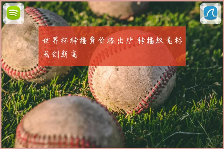 世界杯转播费价格出炉 转播权竞标或创新高