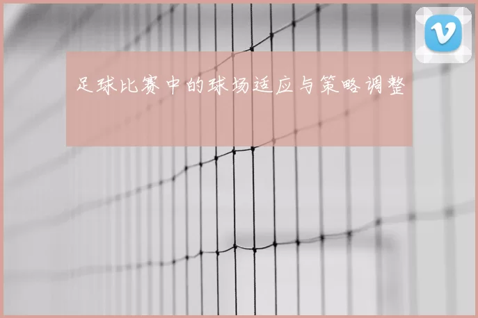 足球比赛中的球场适应与策略调整