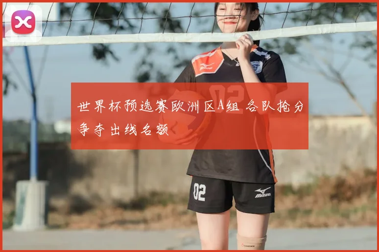 世界杯预选赛欧洲区A组 各队抢分争夺出线名额