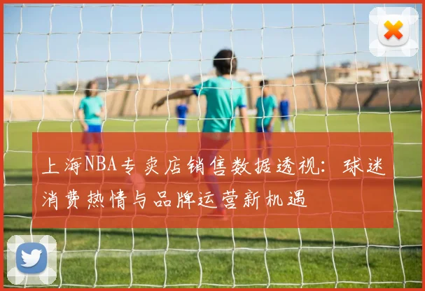 上海NBA专卖店销售数据透视：球迷消费热情与品牌运营新机遇