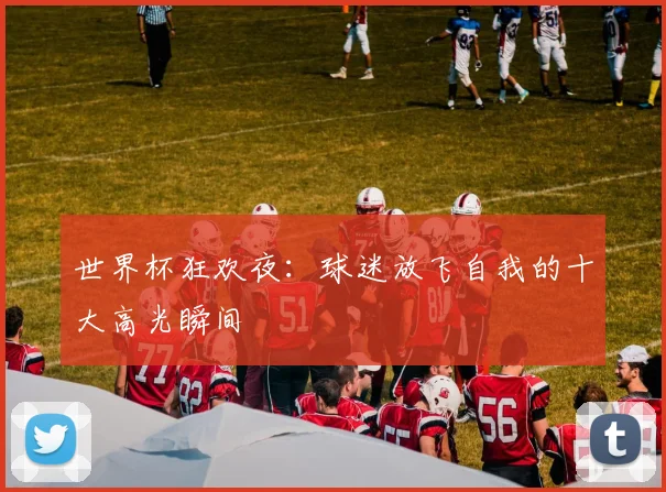 世界杯狂欢夜：球迷放飞自我的十大高光瞬间