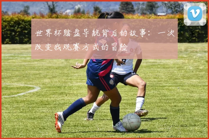 世界杯赌盘导航背后的故事：一次改变我观赛方式的冒险