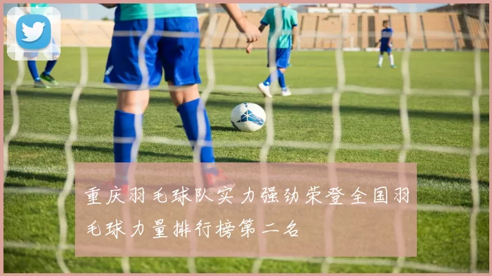 重庆羽毛球队实力强劲荣登全国羽毛球力量排行榜第二名