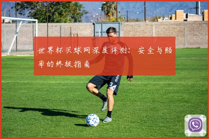 世界杯买球网深度评测:安全与赔率的终极指南