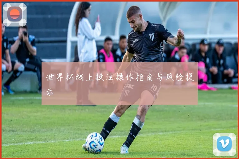 世界杯线上投注操作指南与风险提示