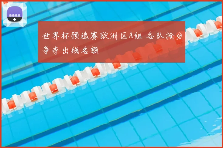 世界杯预选赛欧洲区A组 各队抢分争夺出线名额