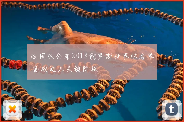 法国队公布2018俄罗斯世界杯名单 备战进入关键阶段